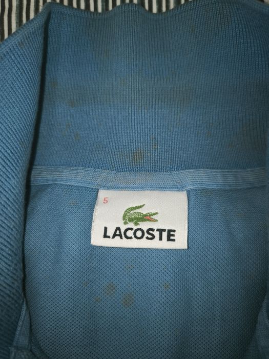 Polo lacoste tam 5