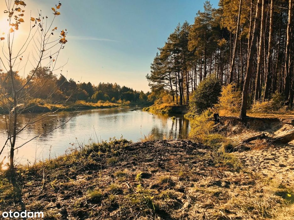 Nad rzeką Liwiec | blisko Warszawa, Wyszków, Kamieńczyk, Nadkole