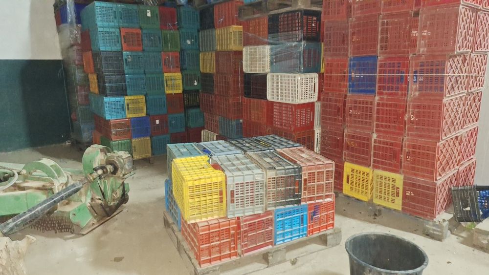 Caixas plástico fruta