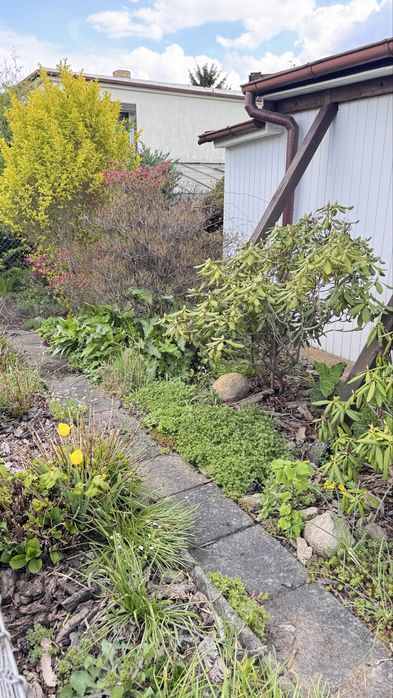 Prawa do dzialki ROD 400 m2 Koninko