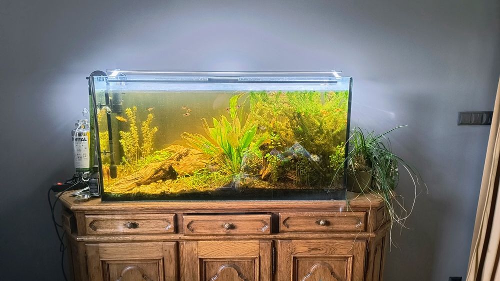 KOMPLETNE Akwarium 300l