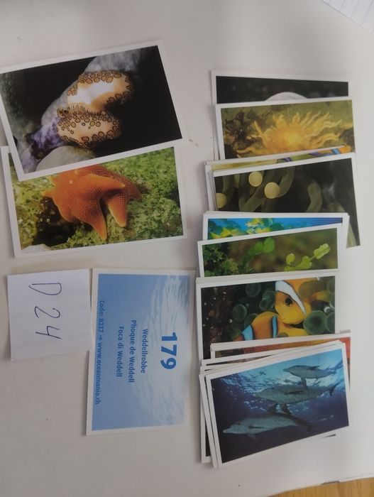 (D3) Cromos de 8 coleções