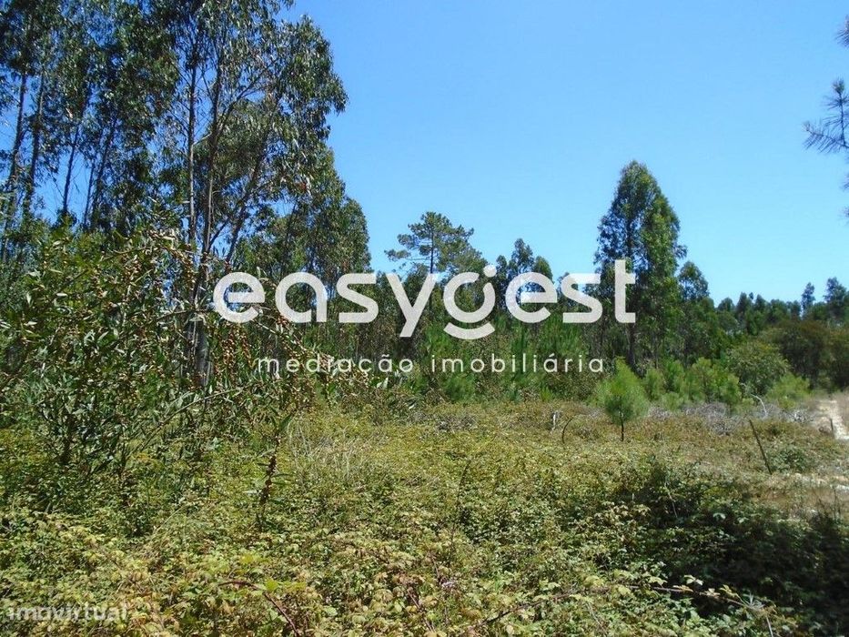 Terreno com 2630m2 a poucos Kms da Praia das Paredes da Vitória