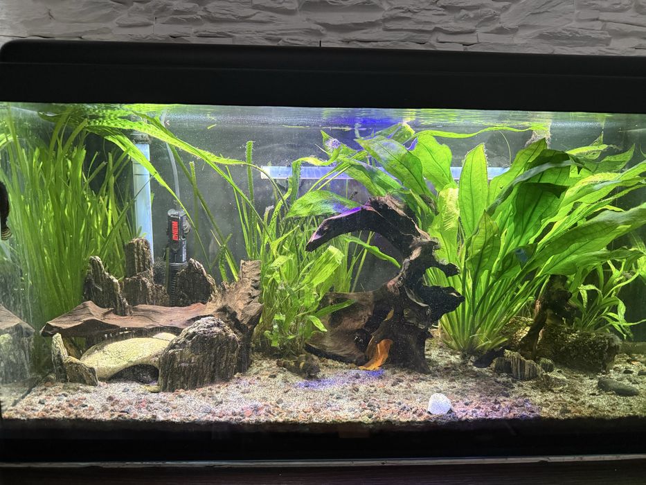 Akwarium112l   Caly zestaw