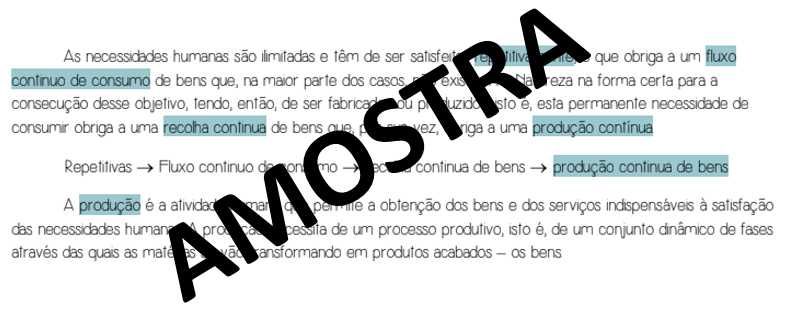 Resumo - Produção de Bens e Serviços