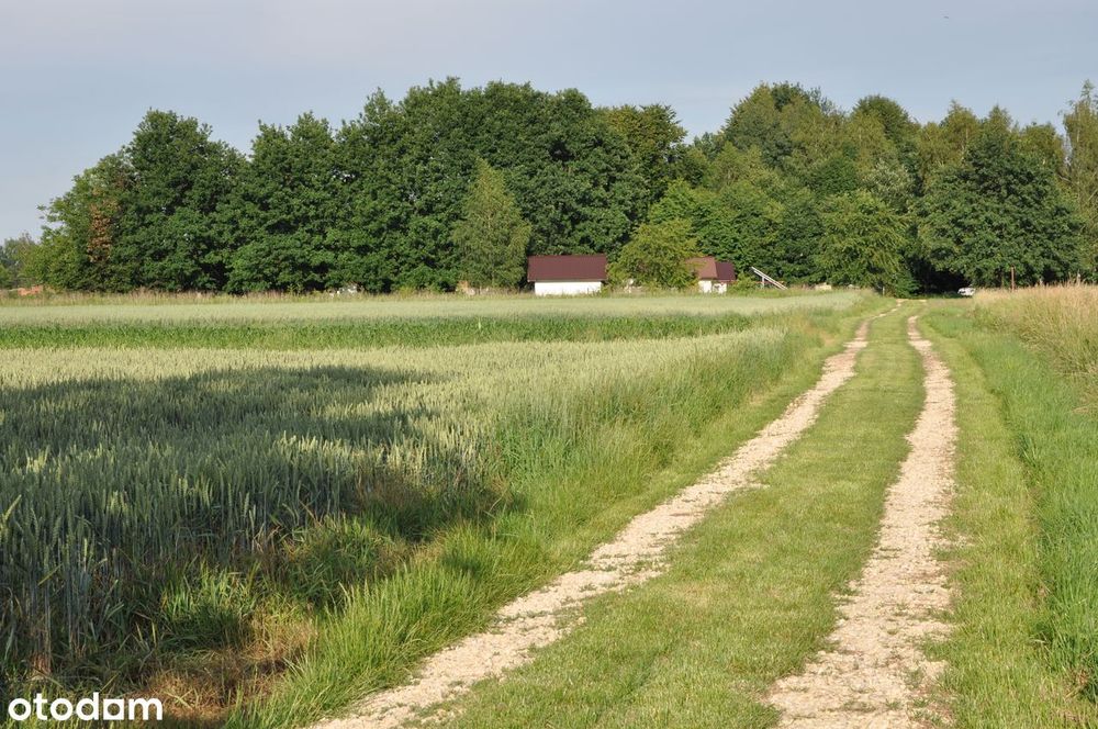 Atrakcyjna działka budowlano-rolna w Brzezince k. Oświęcimia - Widok 5