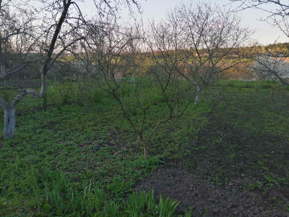 Продам дачну ділянку