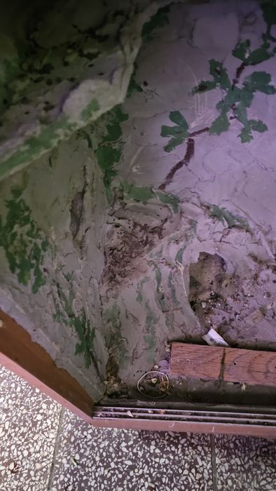 Terrarium dla gadów.