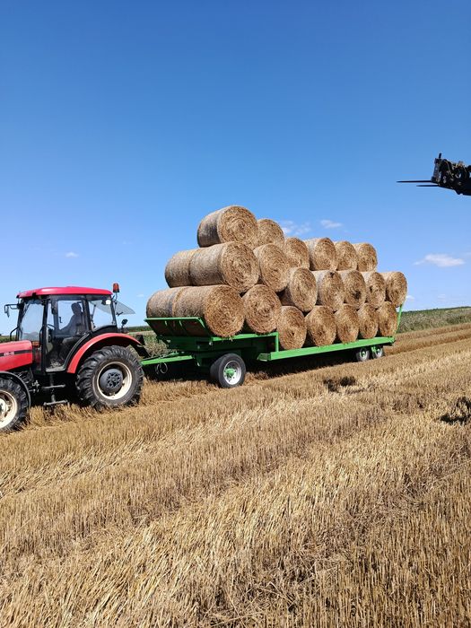 Słoma 130 cm  po prasie pasowej sucha pszenna