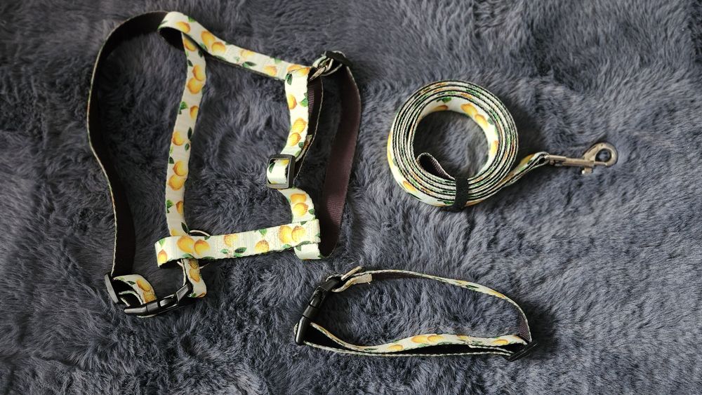 Zestaw szelki obroża smycz Sinsay