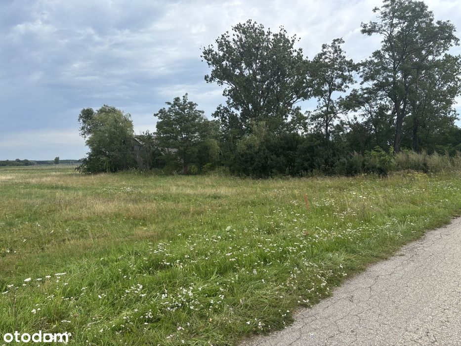 Dziesławice - działka budowlana o pow. 1,22 ha - Widok 3