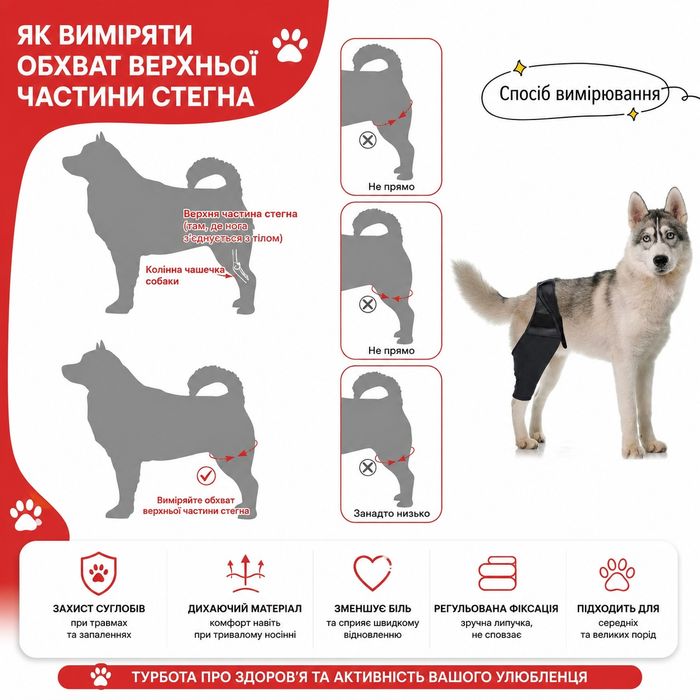 Бандаж для собак с дисплазией локтевого сустава, вывихом, артритом лап