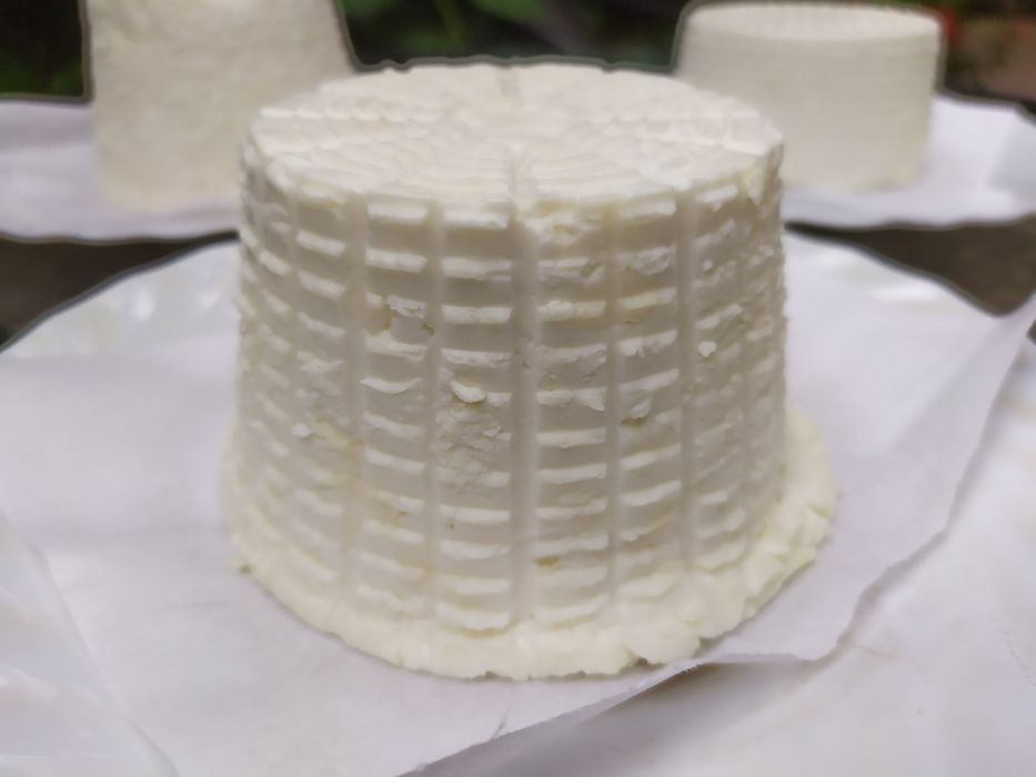 Świeże sery kozie i mleko dostępne