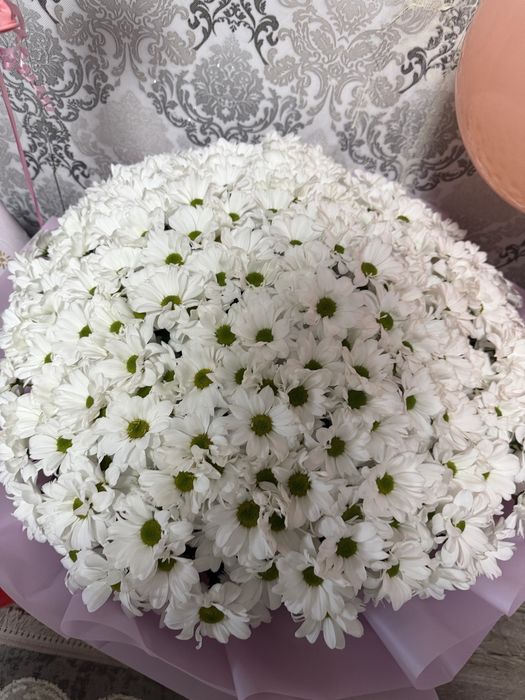 Продам большой букет белых хрызонтемы  - ромашек