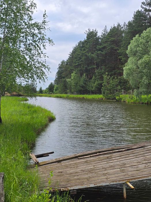 Ділянка біля лісу з власним озером. Є газ, світло, вода. 3.27 Га