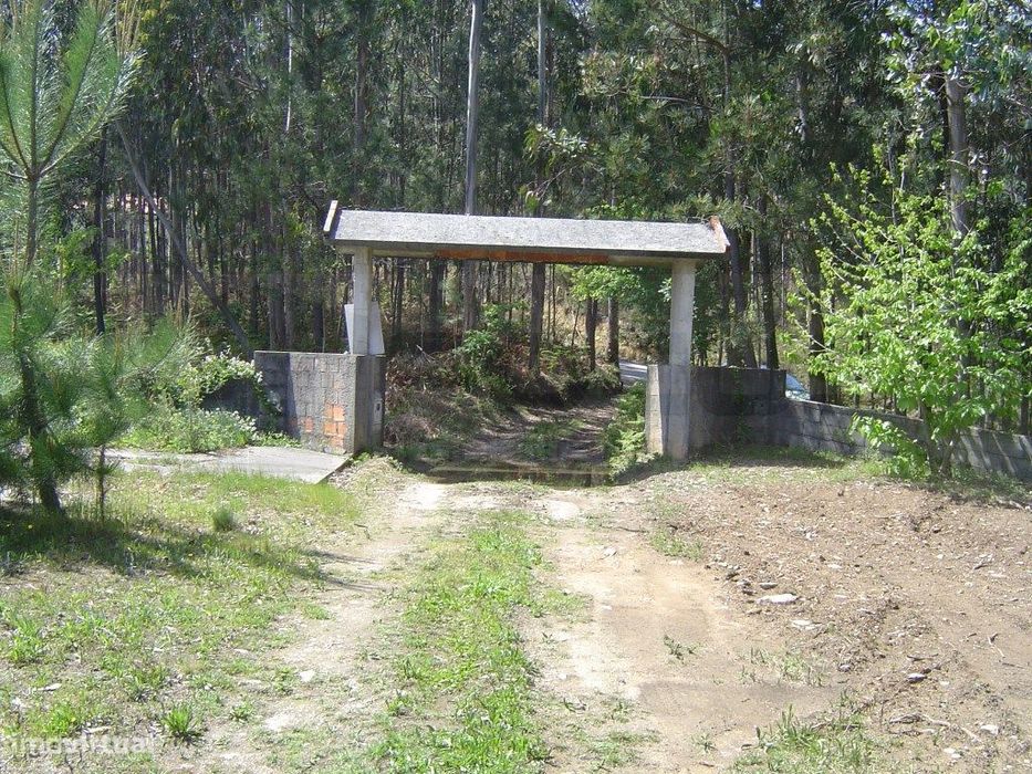 Quinta / Terreno para construção - Sever do Vouga