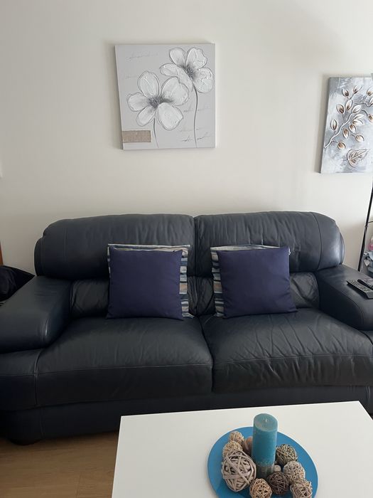 Sofá de pele em tons escuros