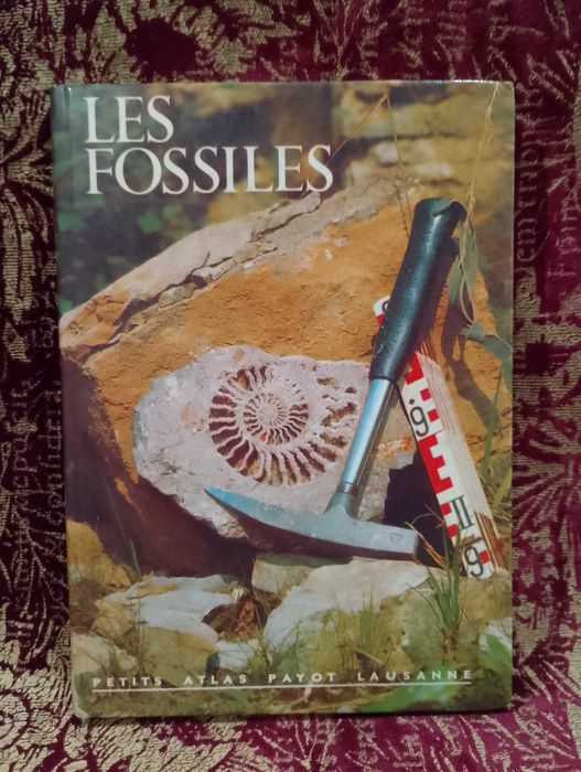 Les Fossiles - Hans Werner Rothe