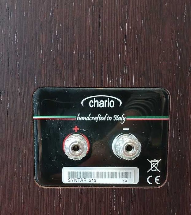 Głośniki Chario Syntar 513