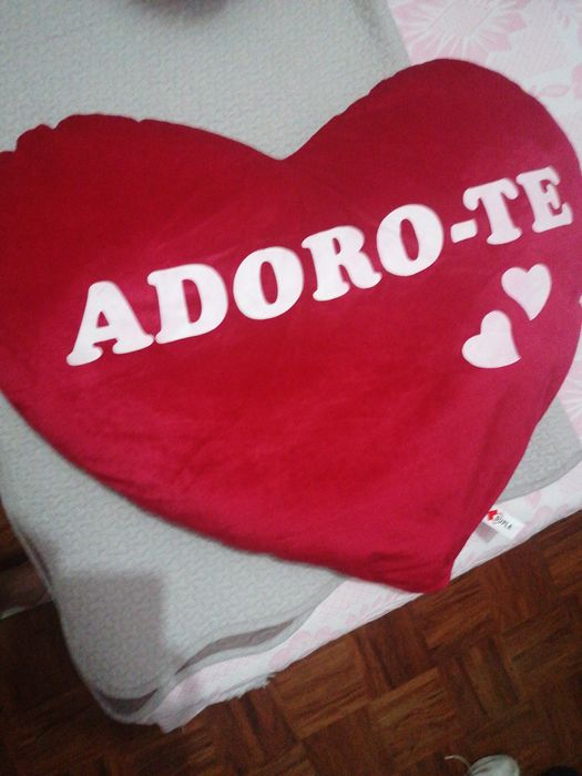 Almofada nova coração Funny e almofada zebra