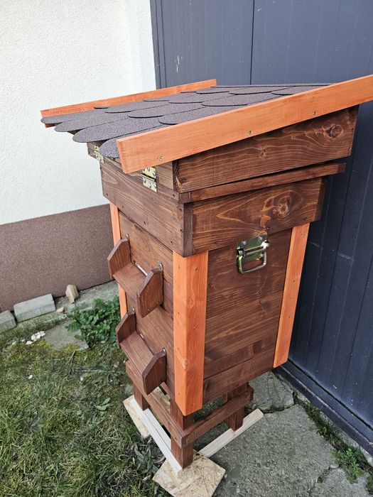 Ul warszawski zwykły