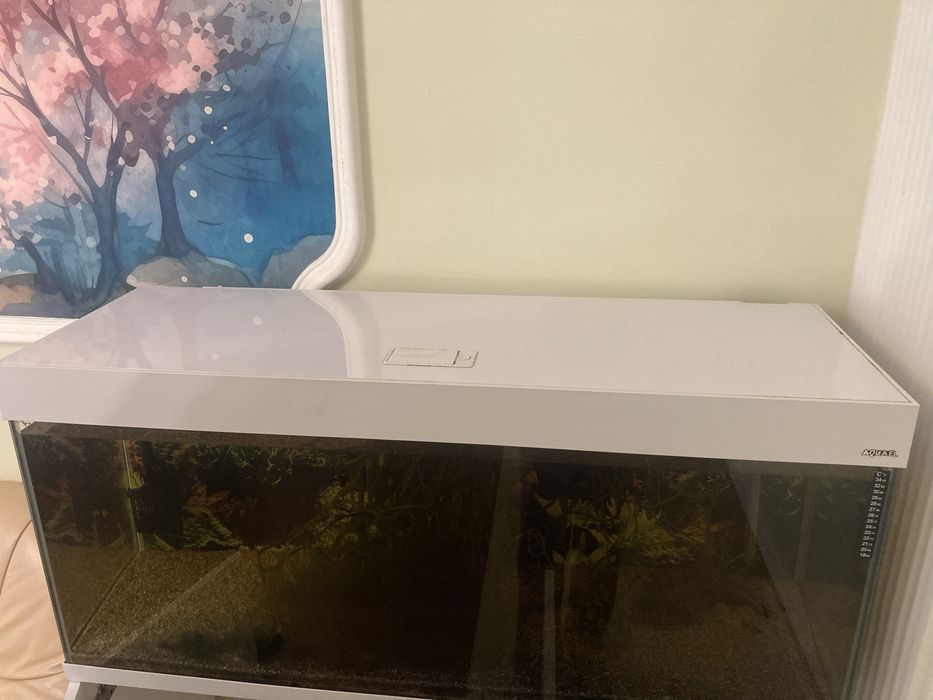 Akwarium Aquael 240 L