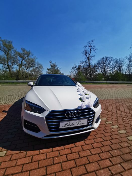 Auto do Ślubu Audi