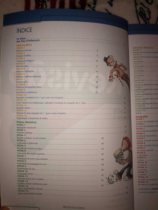 Livro resumos 8º ano- matemática, fisico-quimica, ciências e geografia