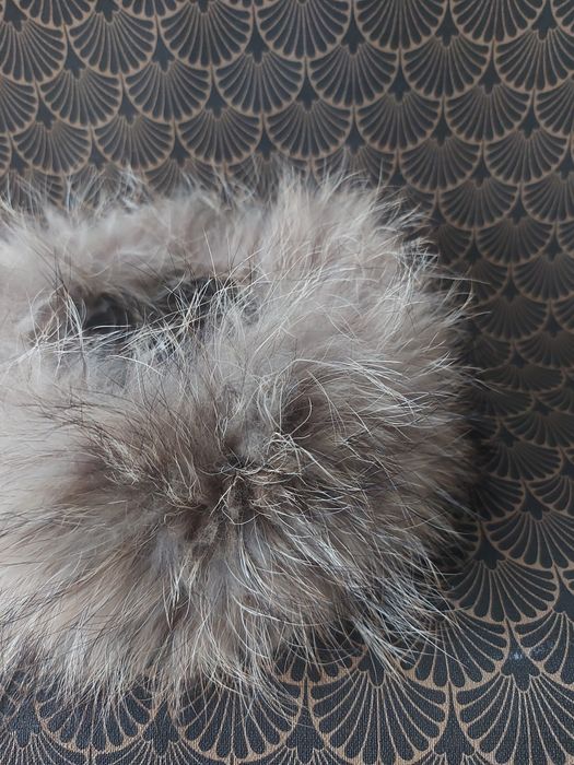 Opaska naturalne futerko jenot