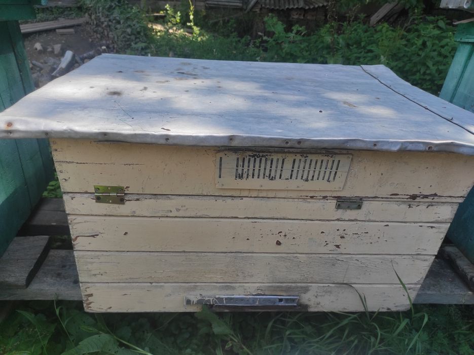 Продам вулики дадан