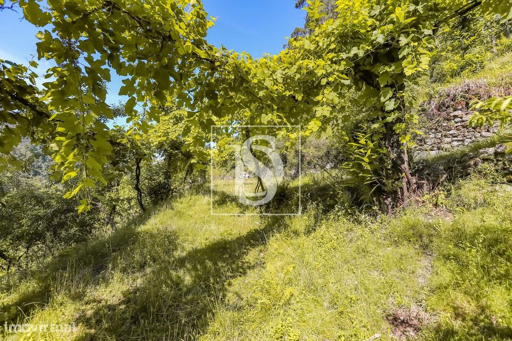 Moradia para Restaurar T2 Venda em Carvalheira,Terras de Bouro