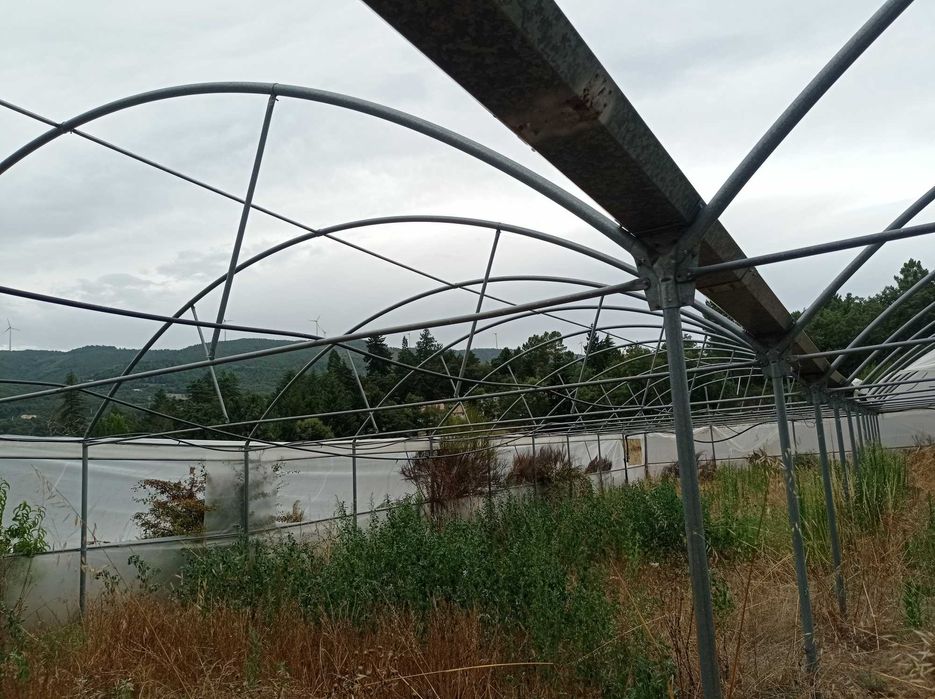 Estufa agrícola seminova