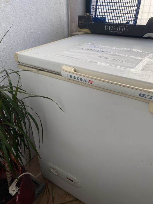 Arca congeladora princess