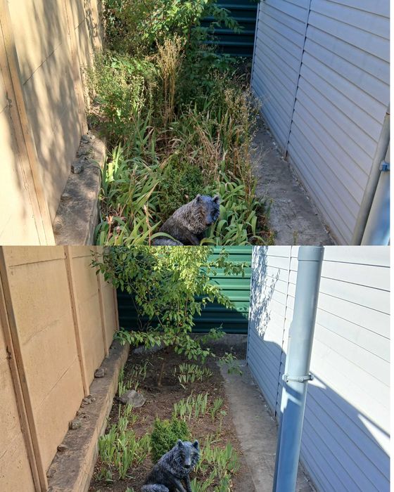 Генеральне прибирання ділянки