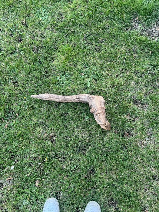 Korzeń florystyczny/ do akwarium