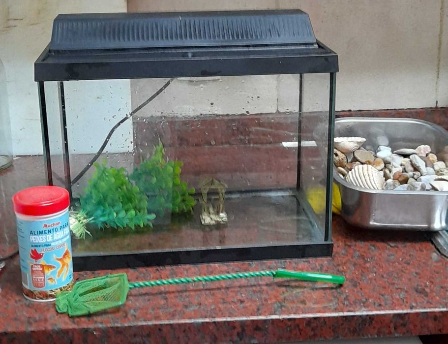Aquário c/ acessórios e luz