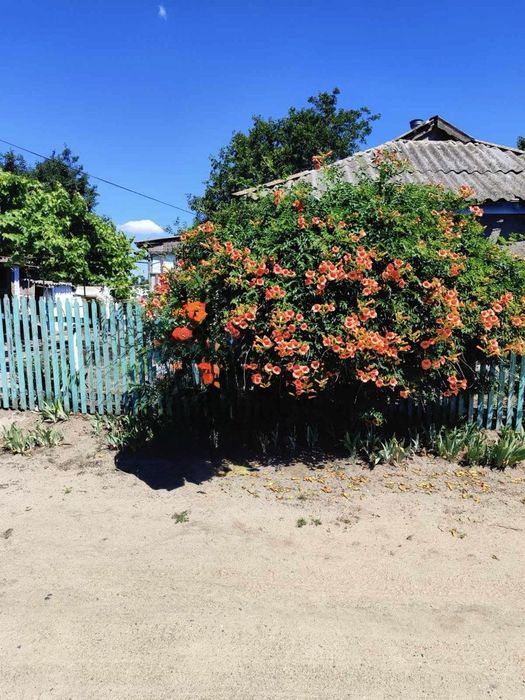 Продам дім біля Снігурівки