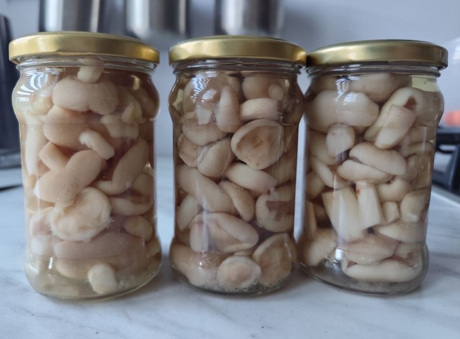 Grzyby marynowane maślak, gąski, grzyby suszone