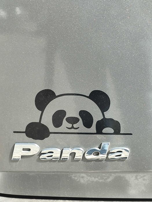 Fiat Panda 1.2 Dynamic (2010).