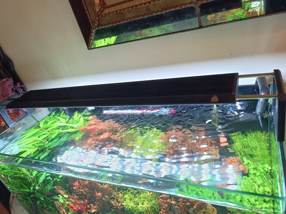 Led aquário Week Aqua serie V 600 se-k