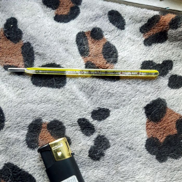 Продам термометры