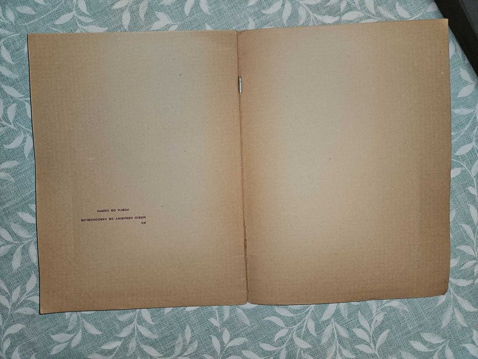 Comunidade - Livro de Luiz Pacheco - Contraponto