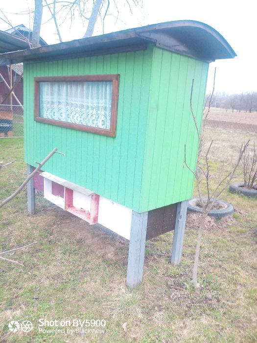 Продаються вулики