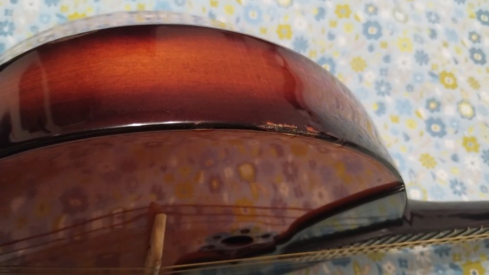 Майстрова домра прима