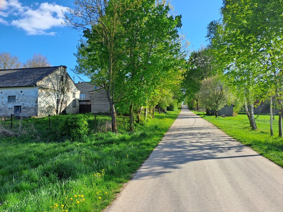 Gospodarstwo rolne z zabudowaniami i lasem 6h