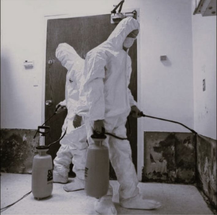 Deretyzacja Dezynsekcja Pluskwy Prusaki Komary Odgrzybianie Ozonowanie