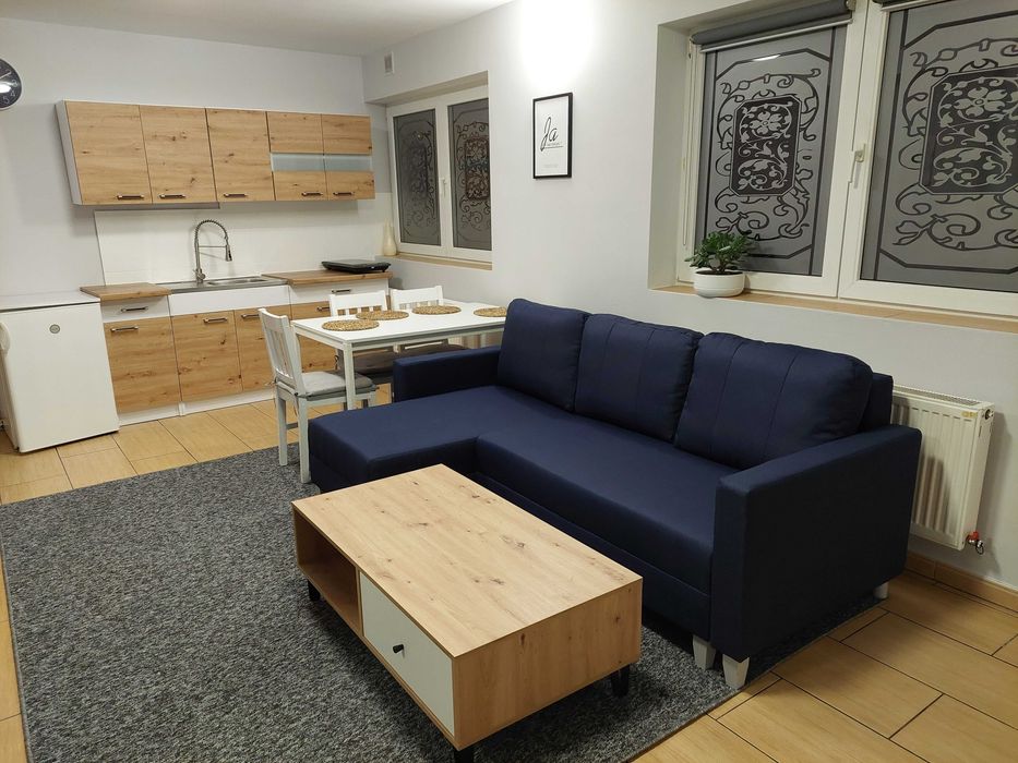 Kawalerka w domu otoczonym zielenią do wynajęcia