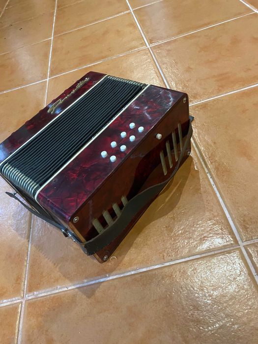 Concertina Finotti