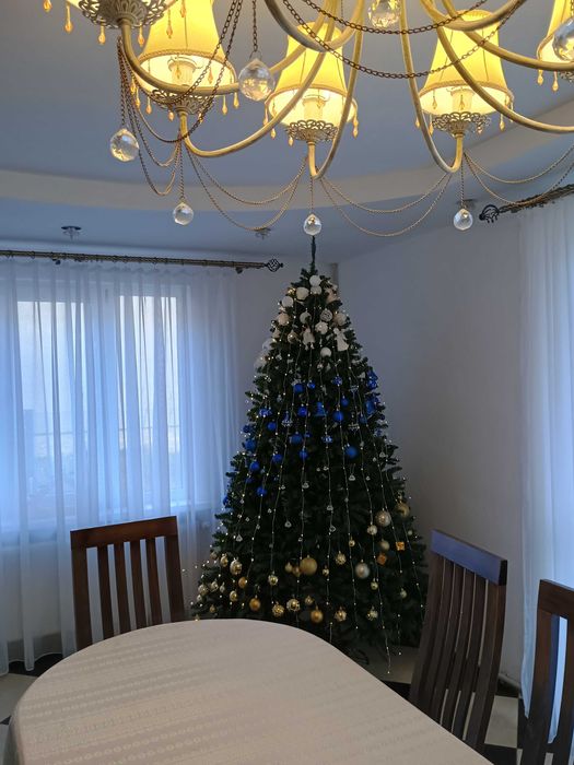 Відпочинок в Карпатах