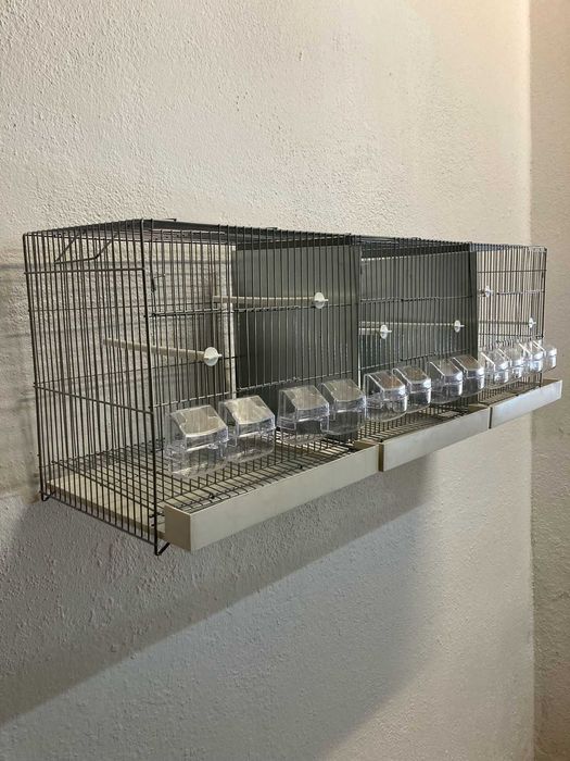 Viveiro Criação Nacional 124cm, 3 Divisórias, voadora, gaiola - NOVO